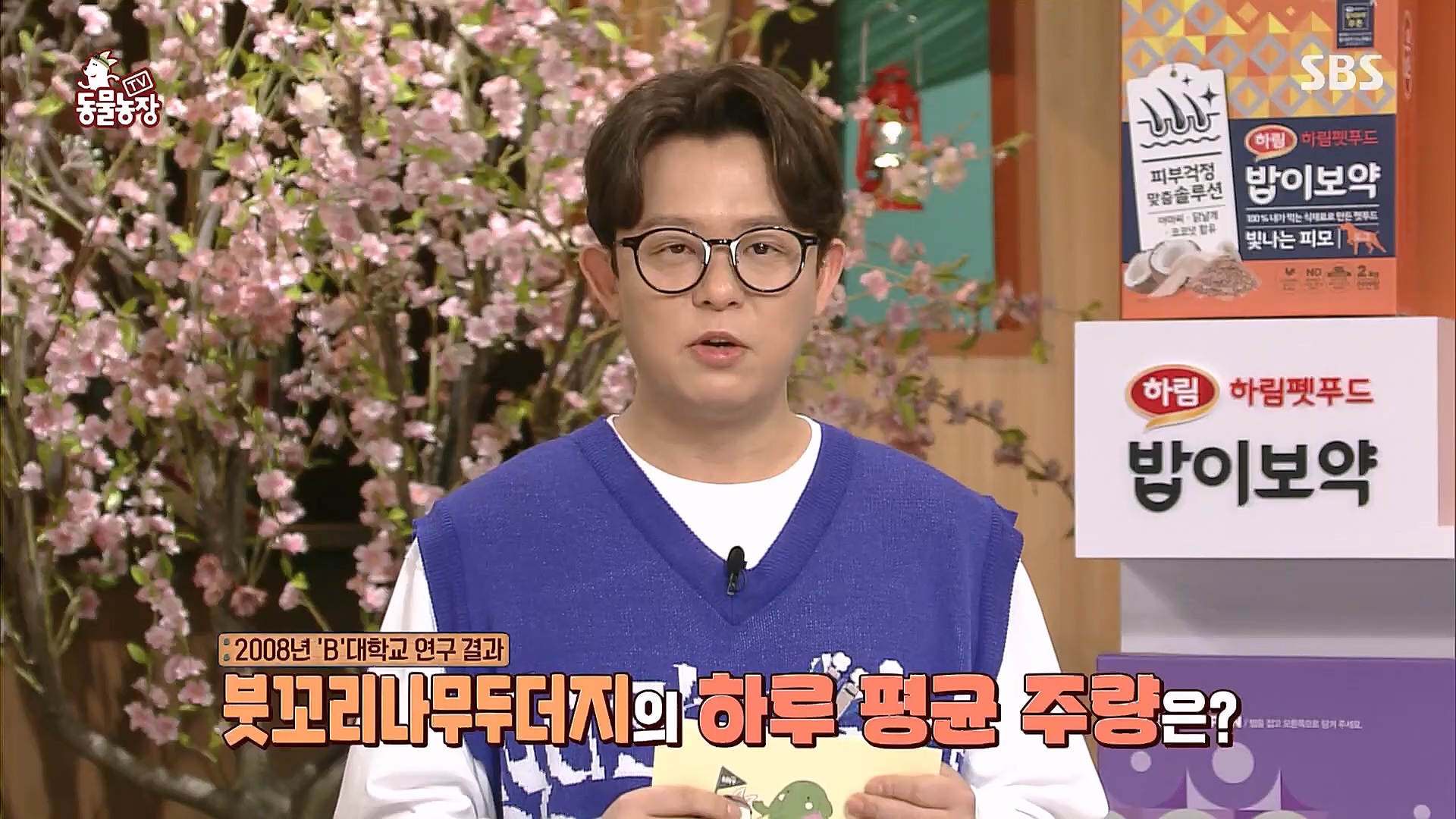 TV 동물농장.E1113.230326p.H264-F1RST.mp4_20230326_172447.055.jpg