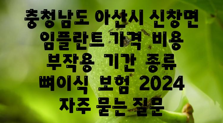 충청남도 아산시 신창면 임플란트 가격  비용  부작용  날짜  종류  뼈이식  보험  2024 자주 묻는 질문