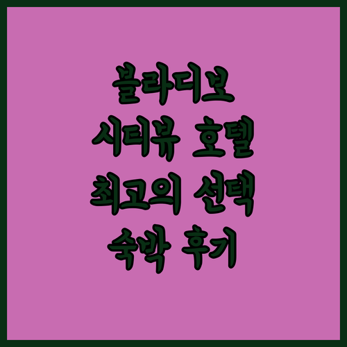 해외여행 블라디보스토크 시티 뷰 호텔