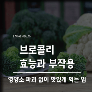  브로콜리 효능과 부작용, 영양소 파괴 없이 맛있게 먹는 법
