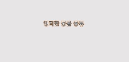  영리한 지능을 가진 동물 종류