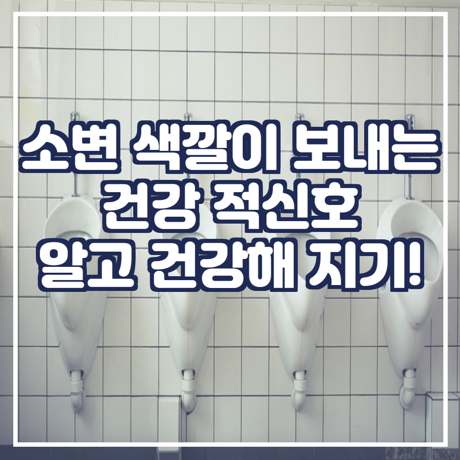  소변이 색깔이 보내는 건강 적신호 / 소변에 거품 / 소변에 피 / 갈색 소변/ 탁한 소변 알고 대처하자!