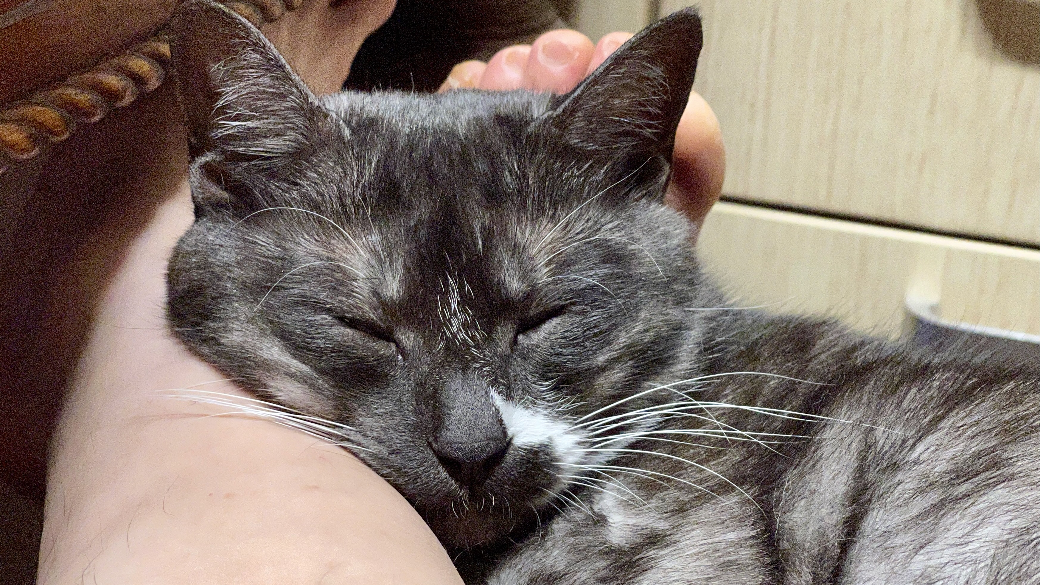 냥이_20220303 49