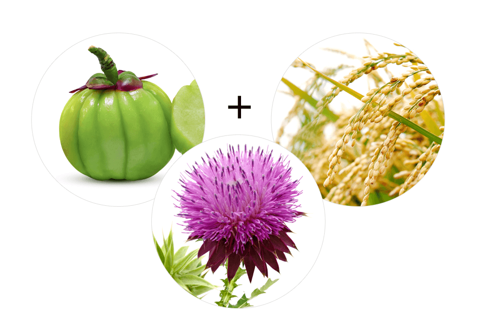 2023 마놀로지 컷 파란통 다이어트 후기!  요약