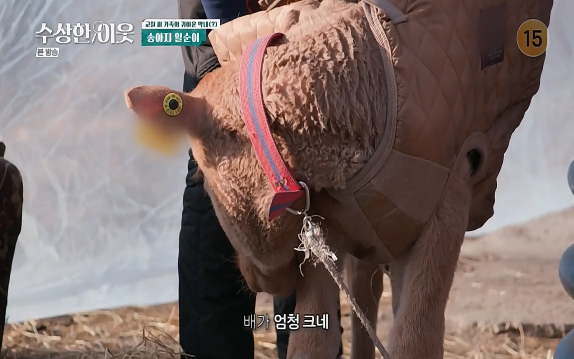 수상한 이웃.E03.220415p-NEXT.mp4_20220416_184250.541.jpg