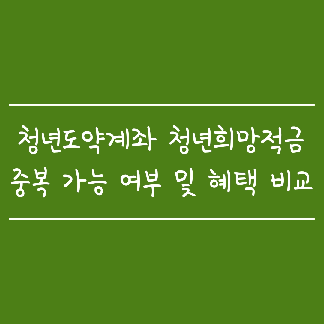  청년도약계좌 청년희망적금 중복 가능 여부 및 혜택 비교