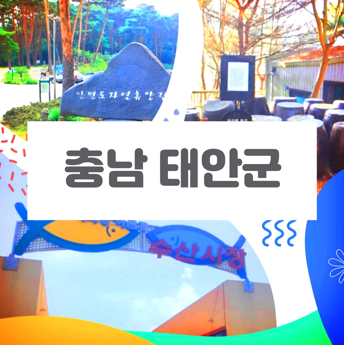  충남 태안군 가볼만한곳 안면도자연휴양림 백사장항 천상병시인고택 추천