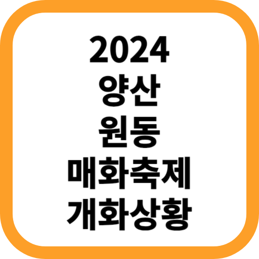 2024-양산-원동-매화축제