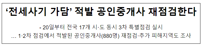  ‘전세사기 가담’ 적발 공인중개사 재점검한다