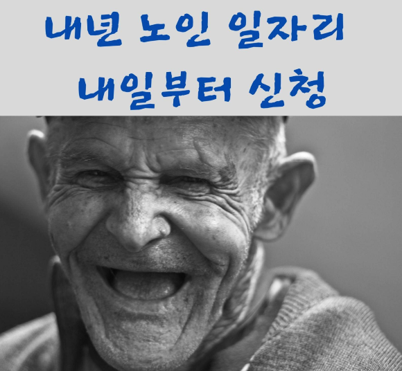 내년 노인일자리 11월23일 부터 신청