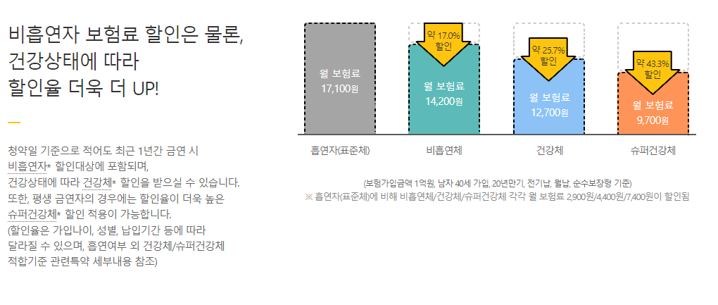 건강체에 따른 할인율