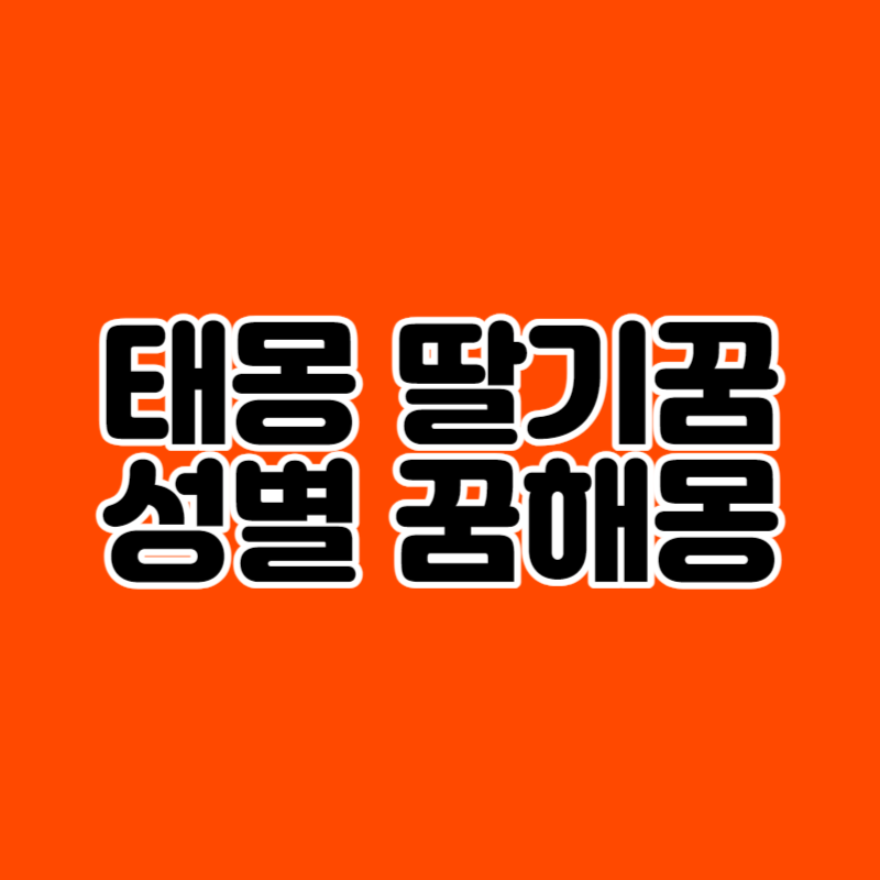 태몽 딸기꿈 성별 꿈해몽