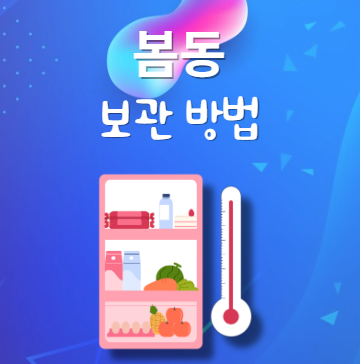 봄동 보관법