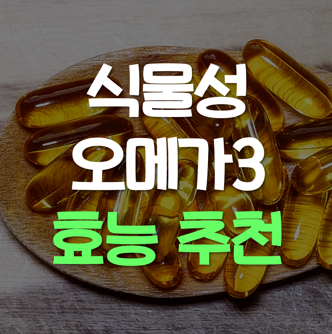  식물성 오메가3 추천 효능