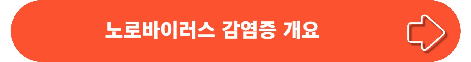 노로바이러스 원인, 증상, 치료, 예방법, 전염, 검사방법, 그리고 장염에 좋은 음식