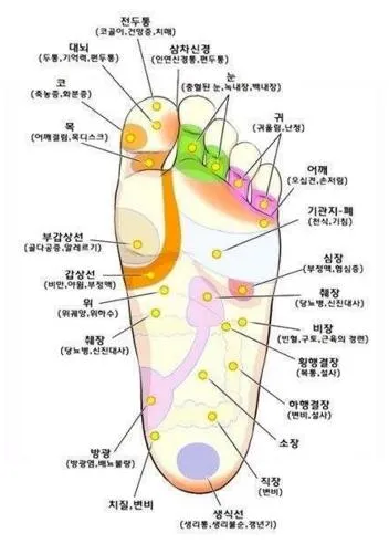 발바닥 지압점