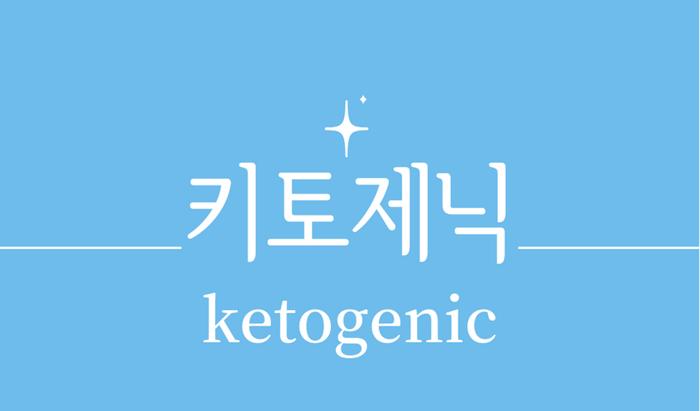 &#39;키토제닉 다이어트(ketogenic diet)&#39;