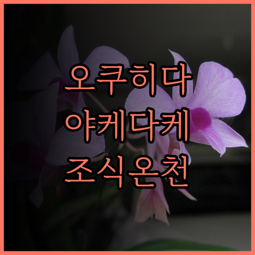 오쿠히다 가든 호텔 야케다케 여행 후