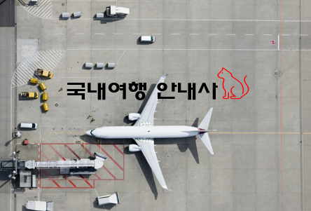  국내여행 안내사 전망과 취업 현실