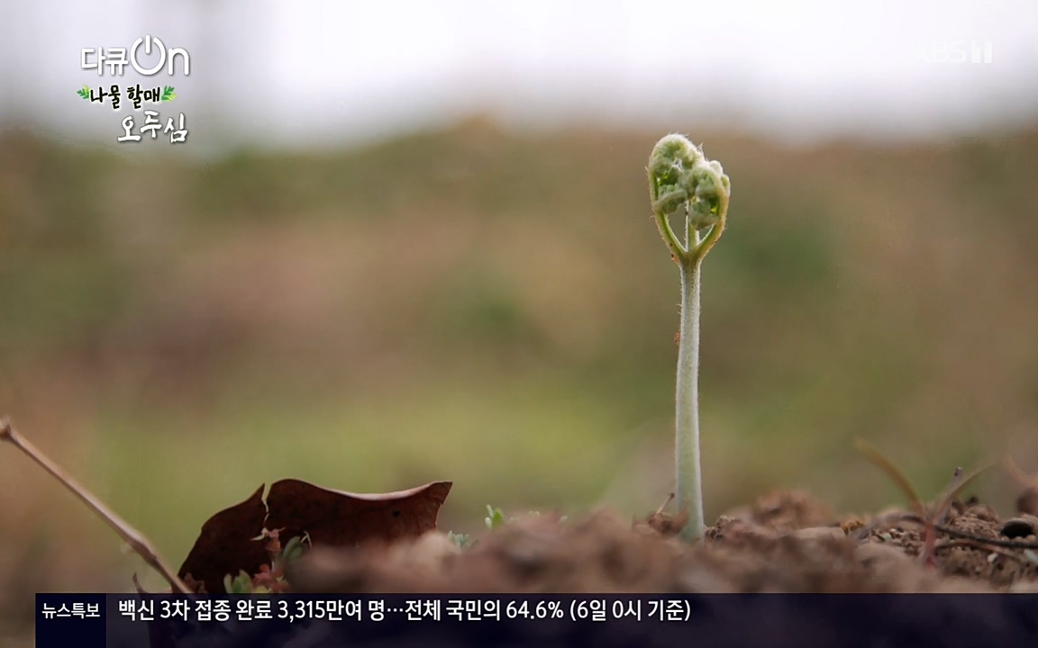 다큐 온.E138.220507p-NEXT.mp4_20220507_183408.124.jpg