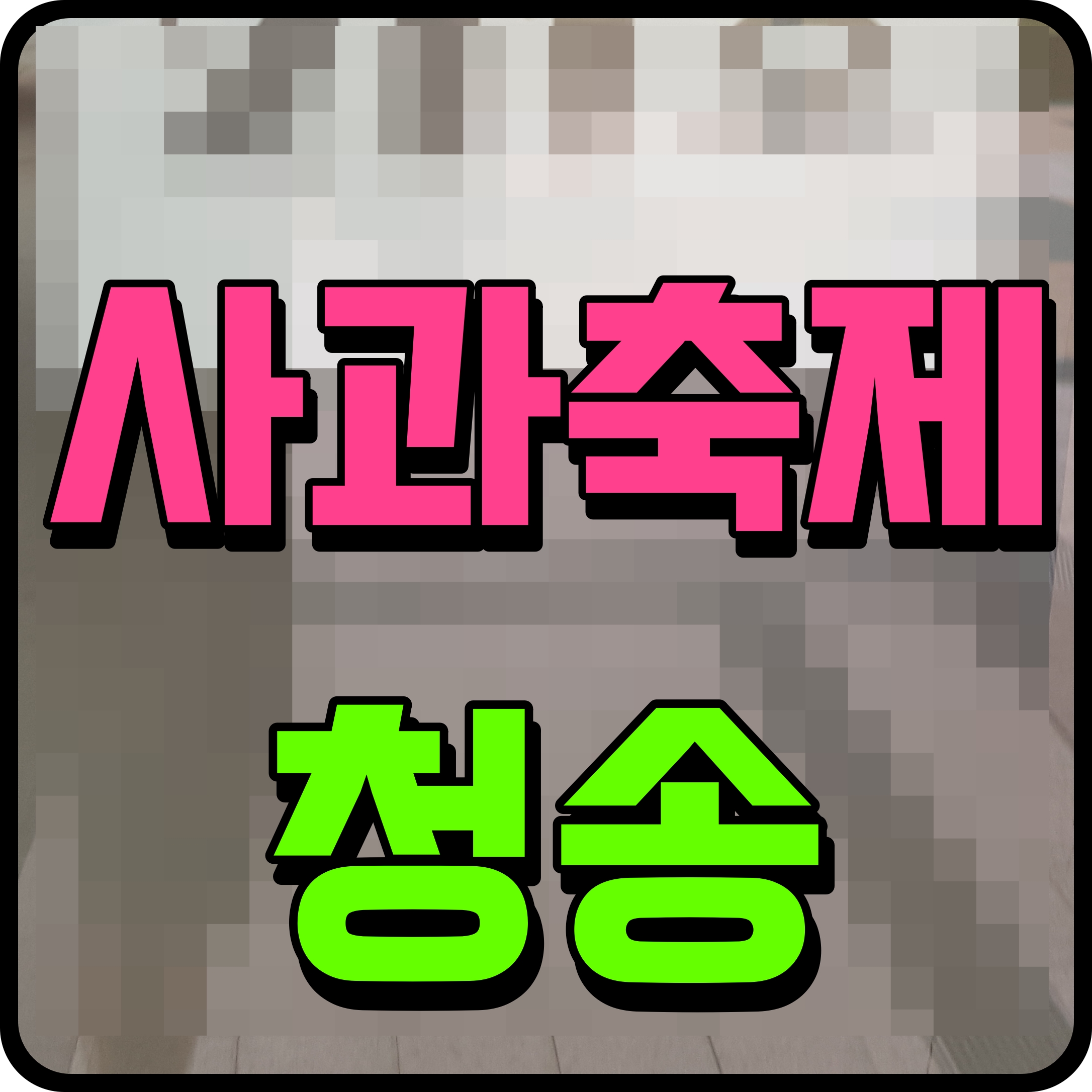  청송 사과축제 연기 일정 행사 정보 알아보자