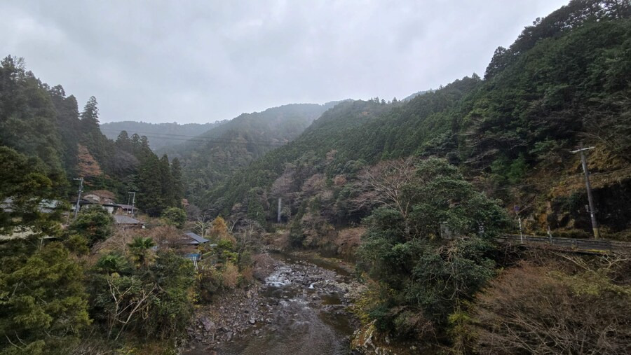 img.jpg