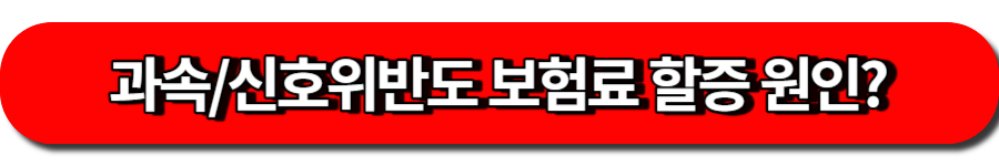 과속, 신호위반도 보험료 할증 원인
