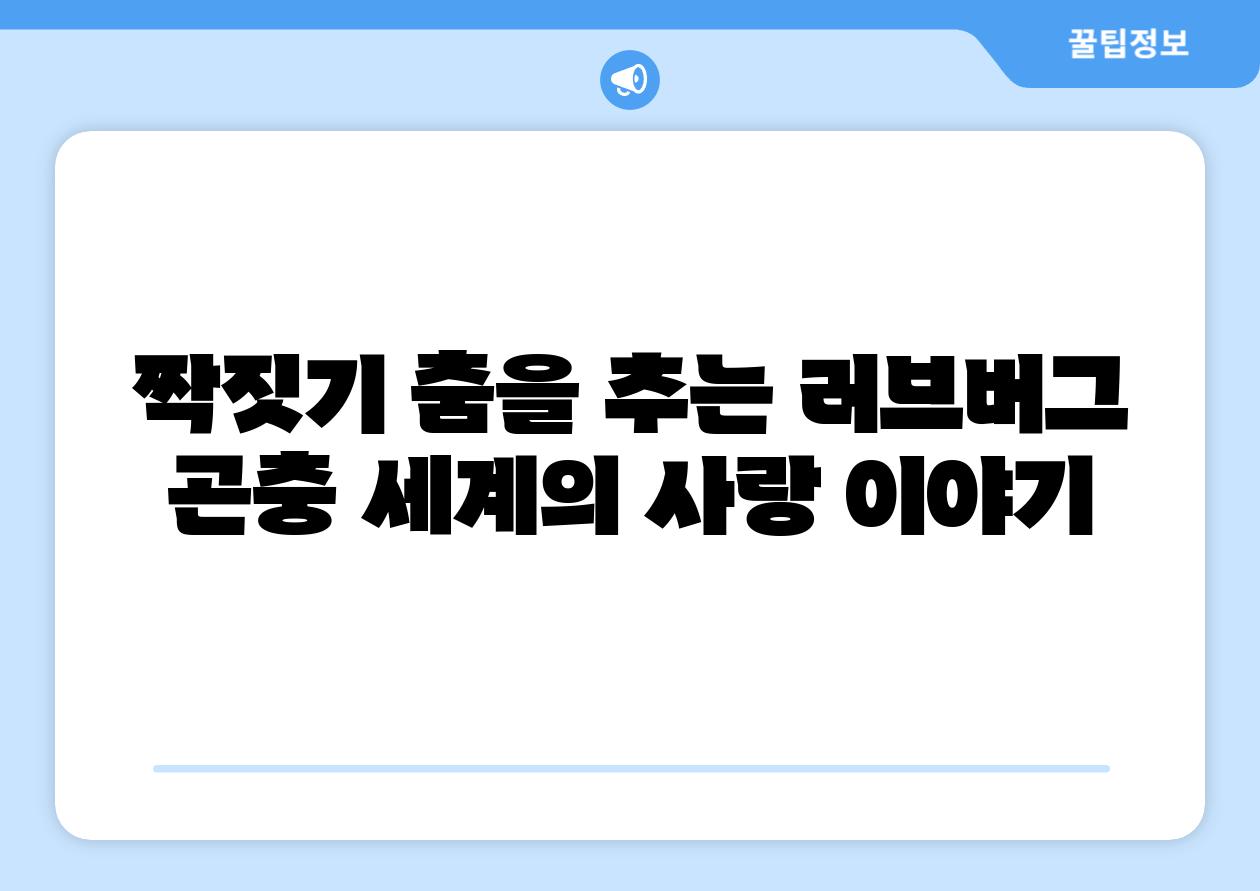 짝짓기 춤을 추는 러브버그 곤충 세계의 사랑 이야기