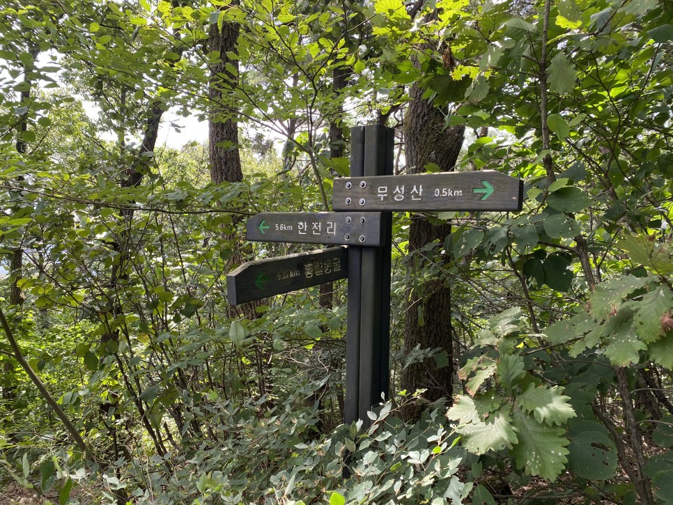 홍길동이 다녀간 16