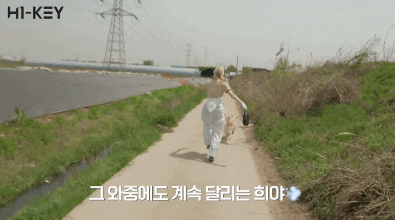 img.gif