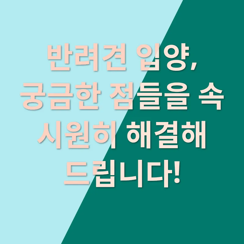 반려견 입양_4