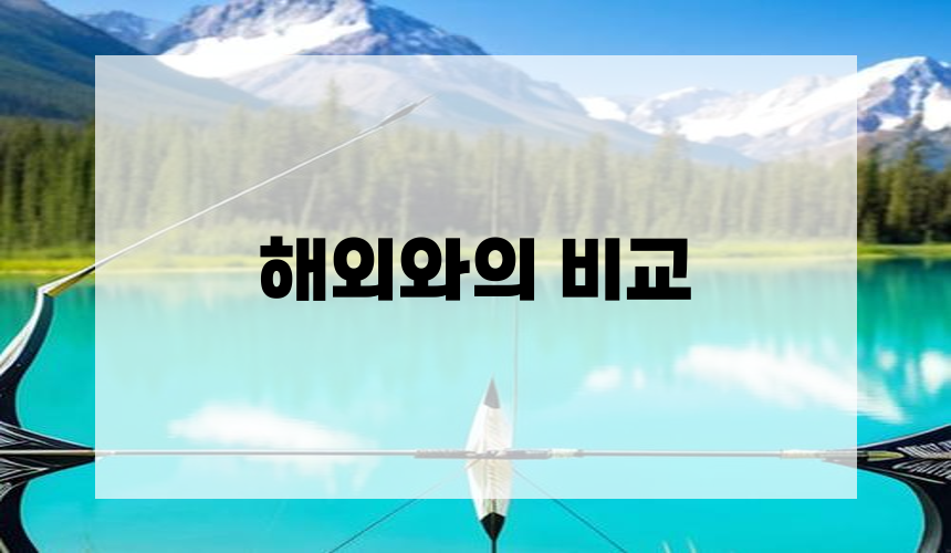 **3. 해외와의 비교**