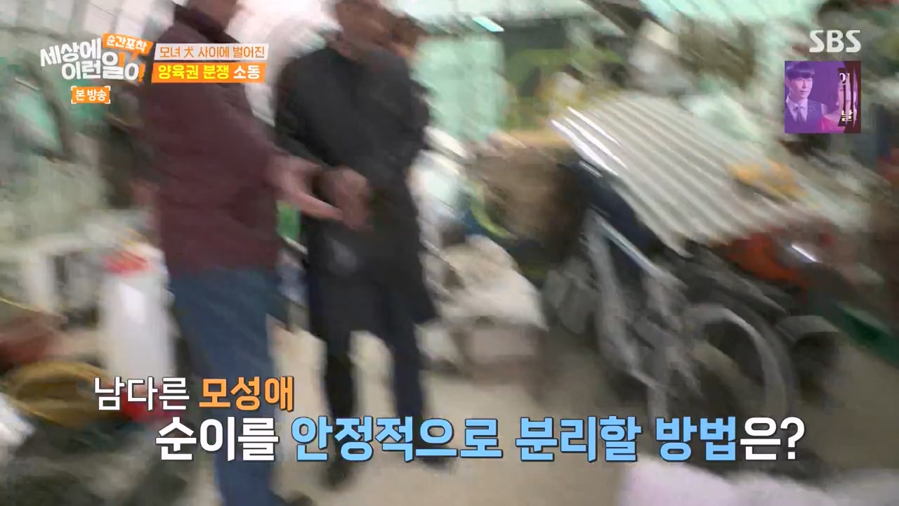 순간포착 세상에 이런일이.E1269.240317p-NEXT.mp4_20240317_163608.093.jpg