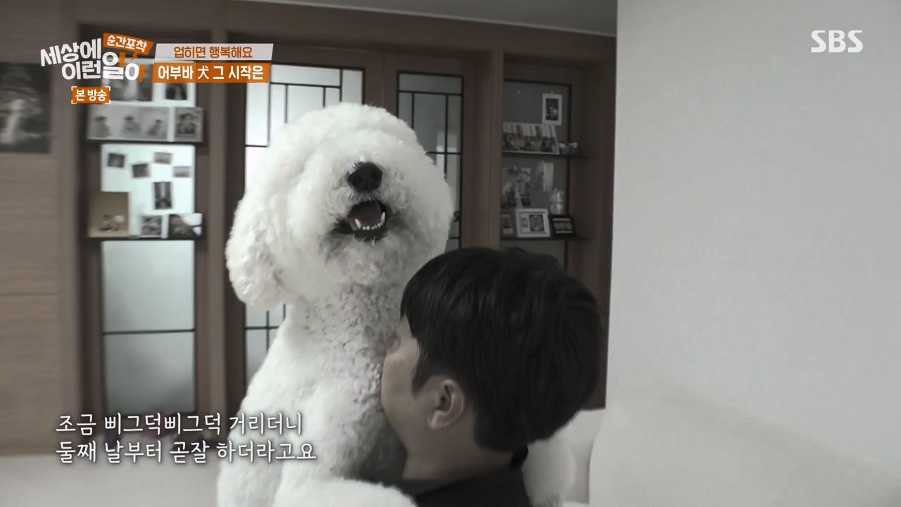 순간포착 세상에 이런일이.E1238.230723p-NEXT.mp4_20230724_205441.323.jpg