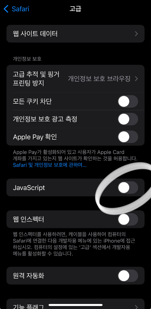 아이폰-사파리-설정-고급-자바스크립트-체크-해제