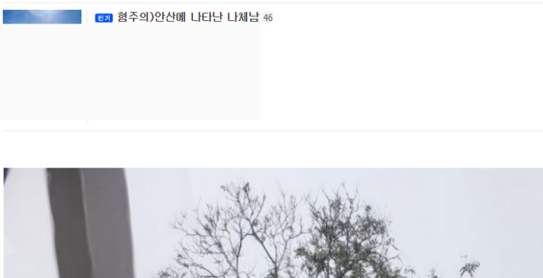  혐) 안산 도로 위의 충격적인 나체남
