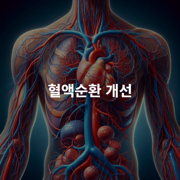 김소형 원방침향환 효과_혈액순환 개선