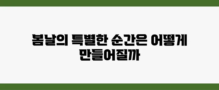 한강 벚꽃 산책로, 데이트 코스까지 정리