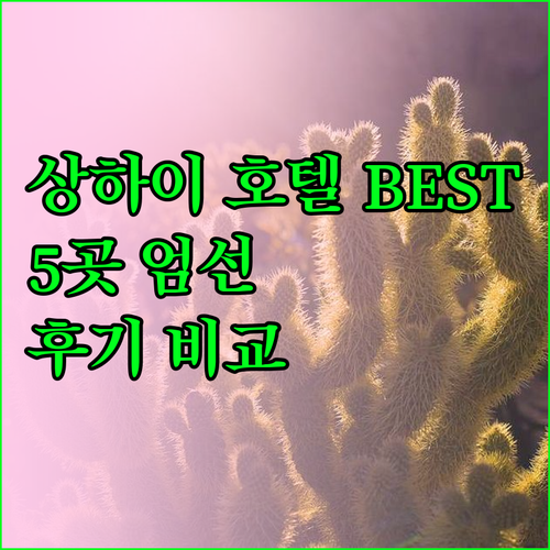 상하이 민항구 호텔 BEST 5 숙박