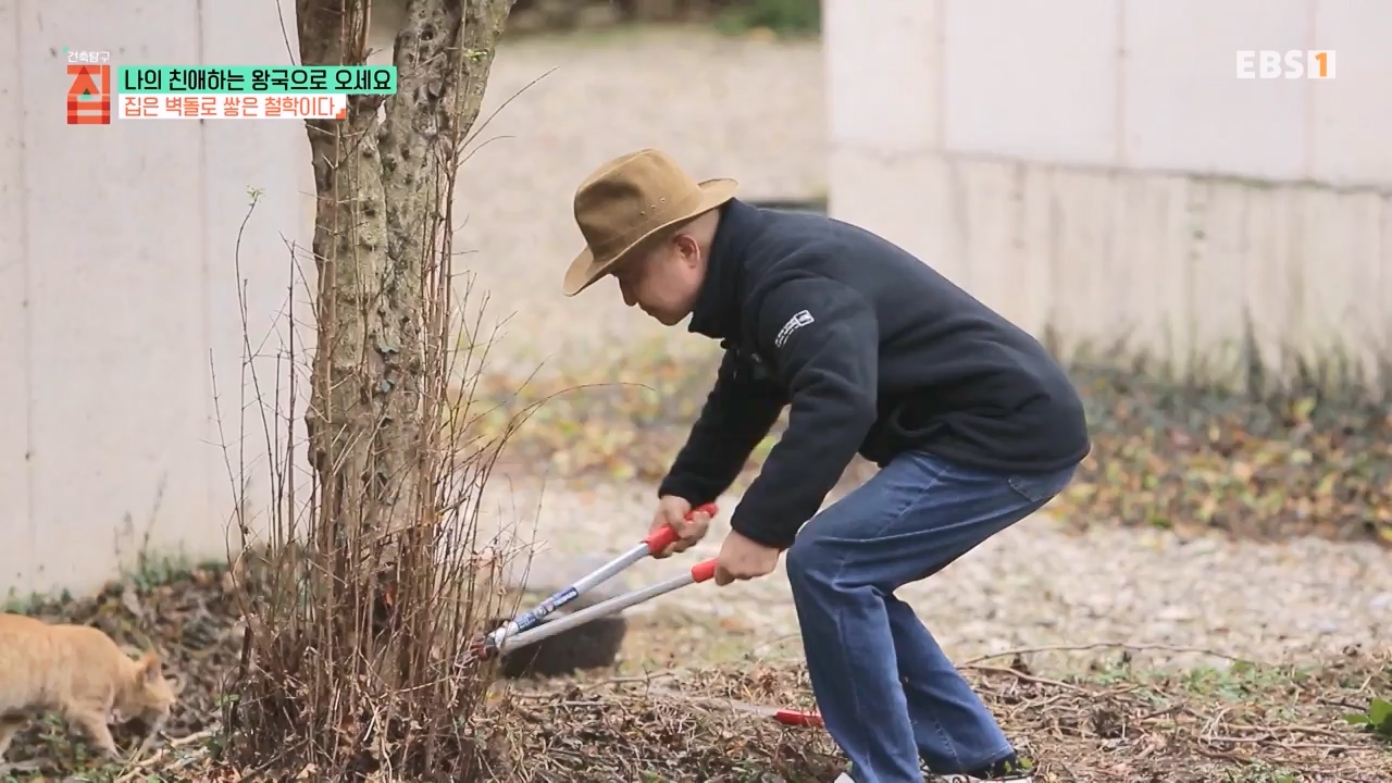 TV - 전 국민의 평생학교 EBS나의 친애하는 왕국으로 오세요.mp4_20240117_195040.815.jpg