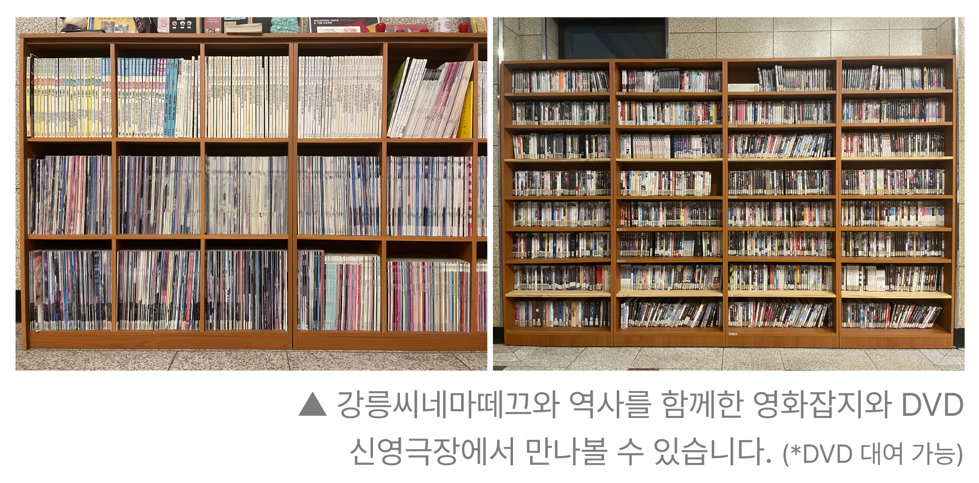강릉씨네마떼끄 이미지