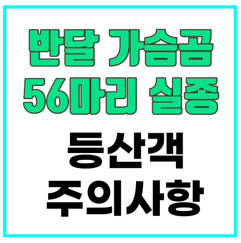 반달가슴곰 실종