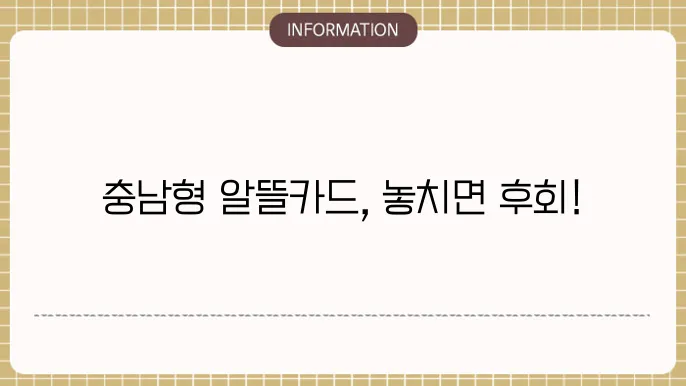 충남형 알뜰교통카드의 혜택