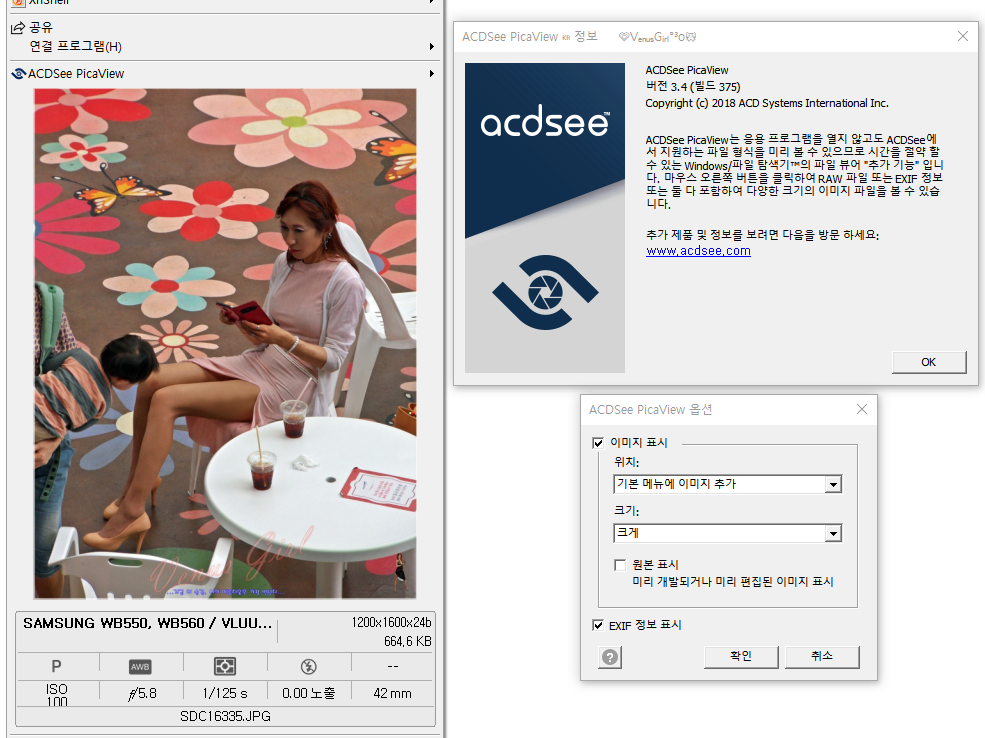 download acdsee picaview