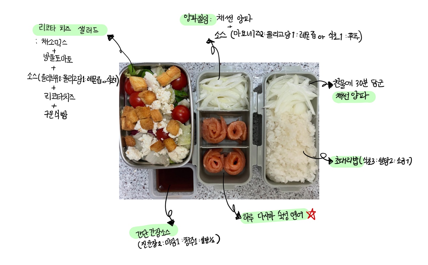  직장인 도시락. 연어덮밥과 리코타치즈샐러드