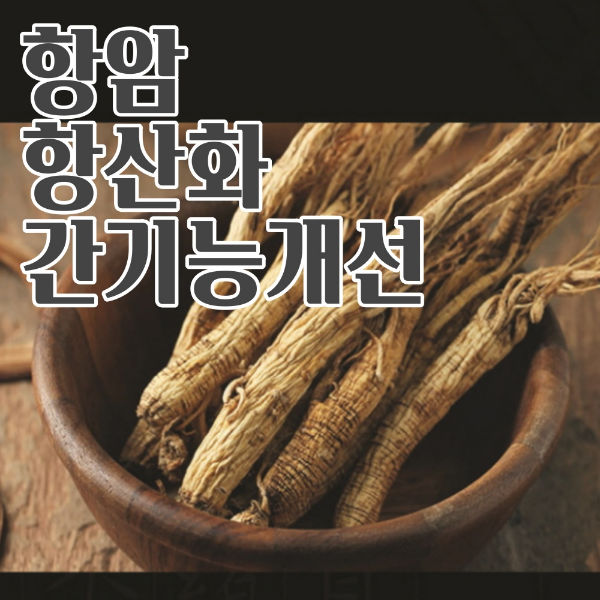 인삼 사포닌 효능