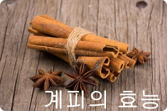 계피의 다양한 효능과 활용법: 건강을 위한 향신료