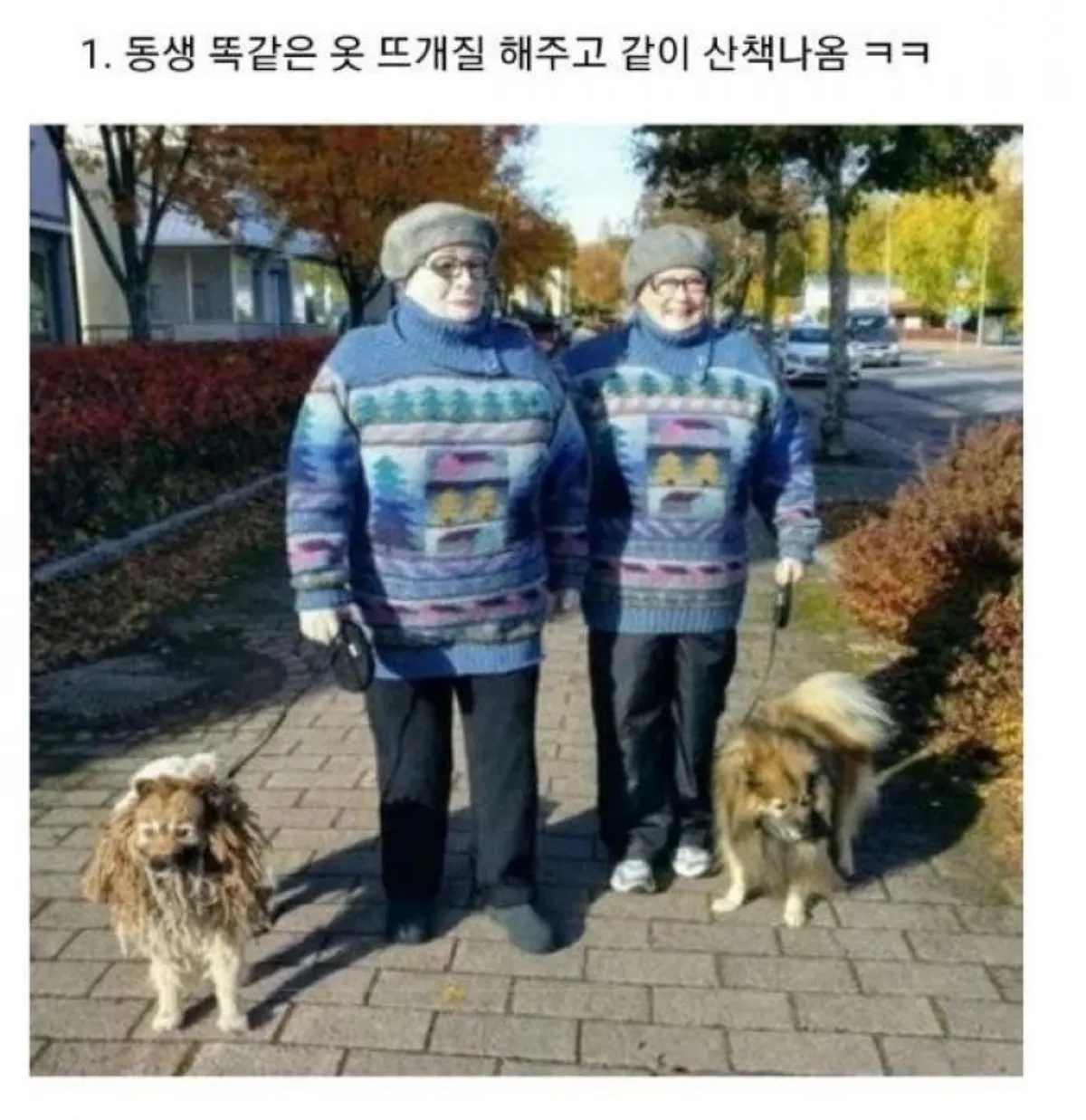 뜨개질-고인물-1