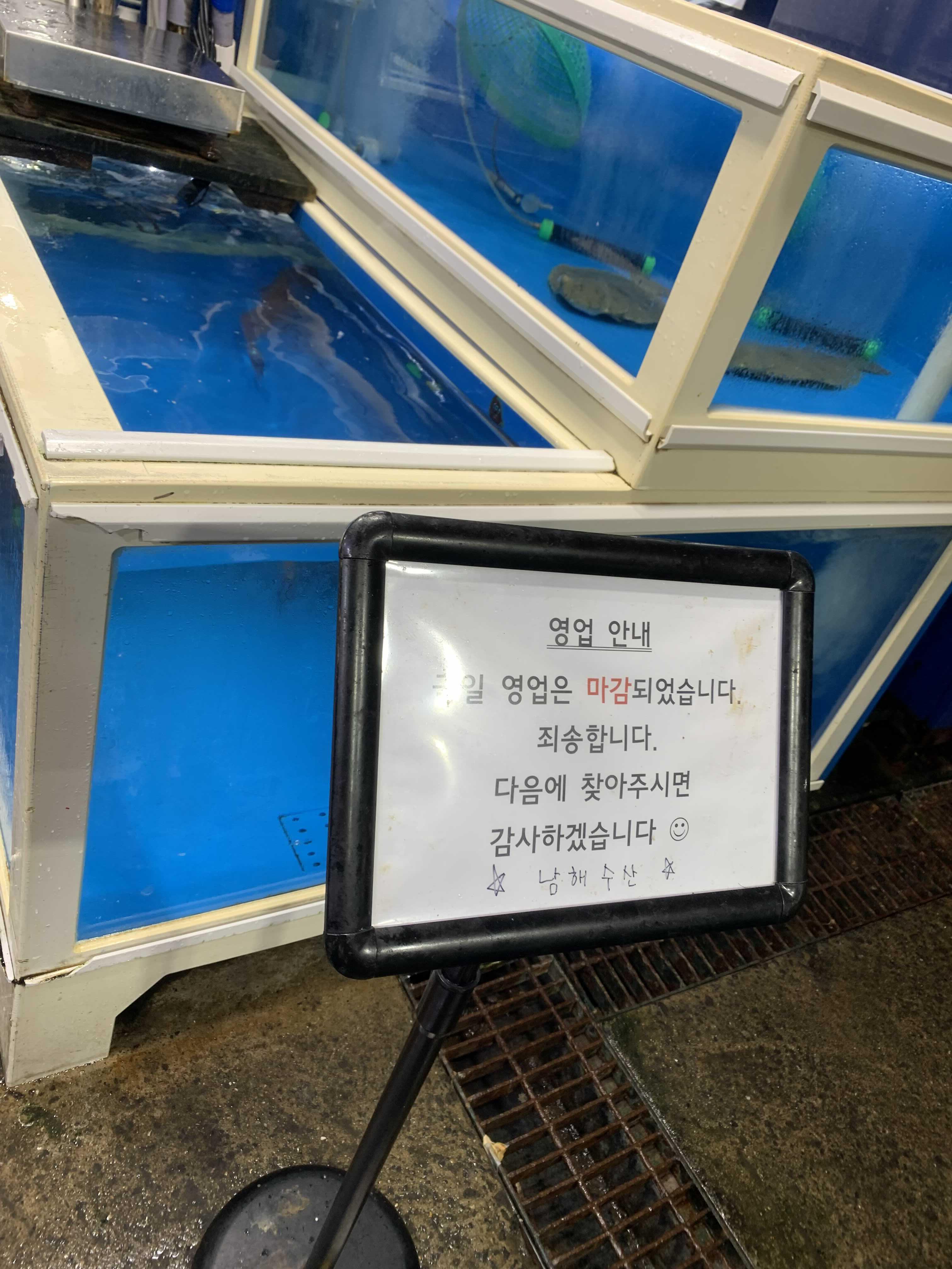 [제주맛집] 동문시장맛집 올레수산 우리수산 회 비교, 남해수산대기마감, 고등어회맛집