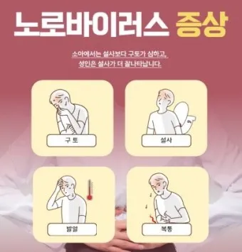 노로바이러스 증상 빠르게 대처하는 방법_6